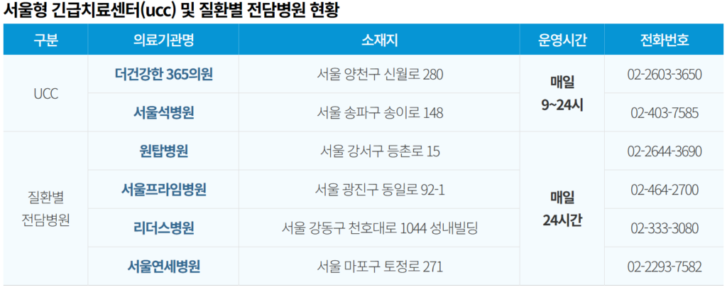 서울형 질환별 전담병원