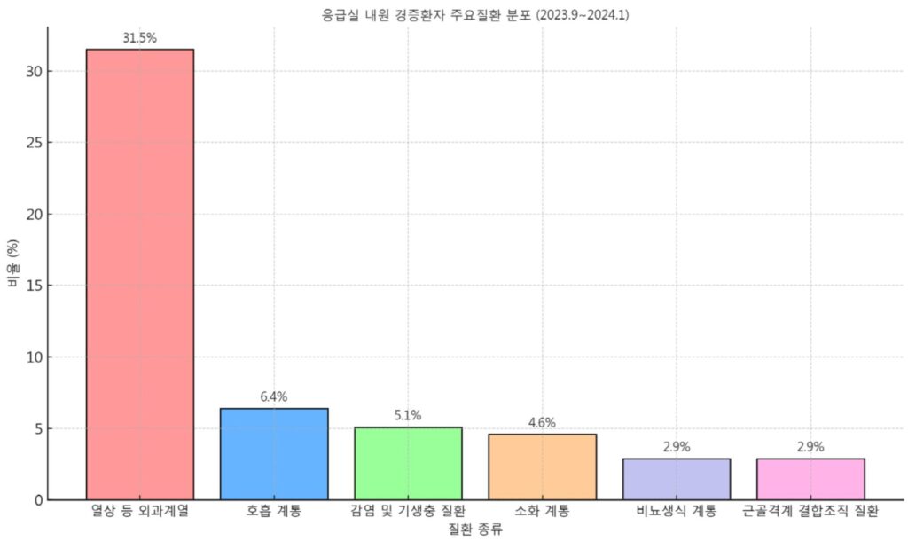 응급실 내원 경증환자 주요질환 분포 (2023.9~2024.1)